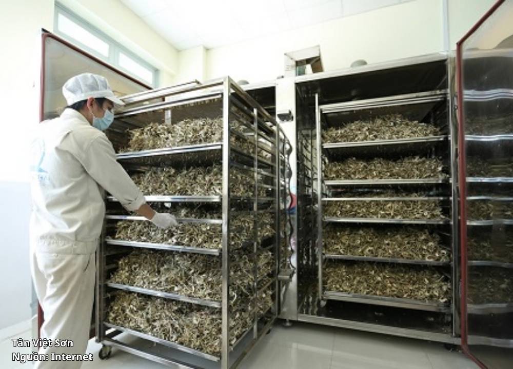 Hệ Thống Sấy Dùng Gas Công Nghiệp Cho Nhà Máy Nông Sản