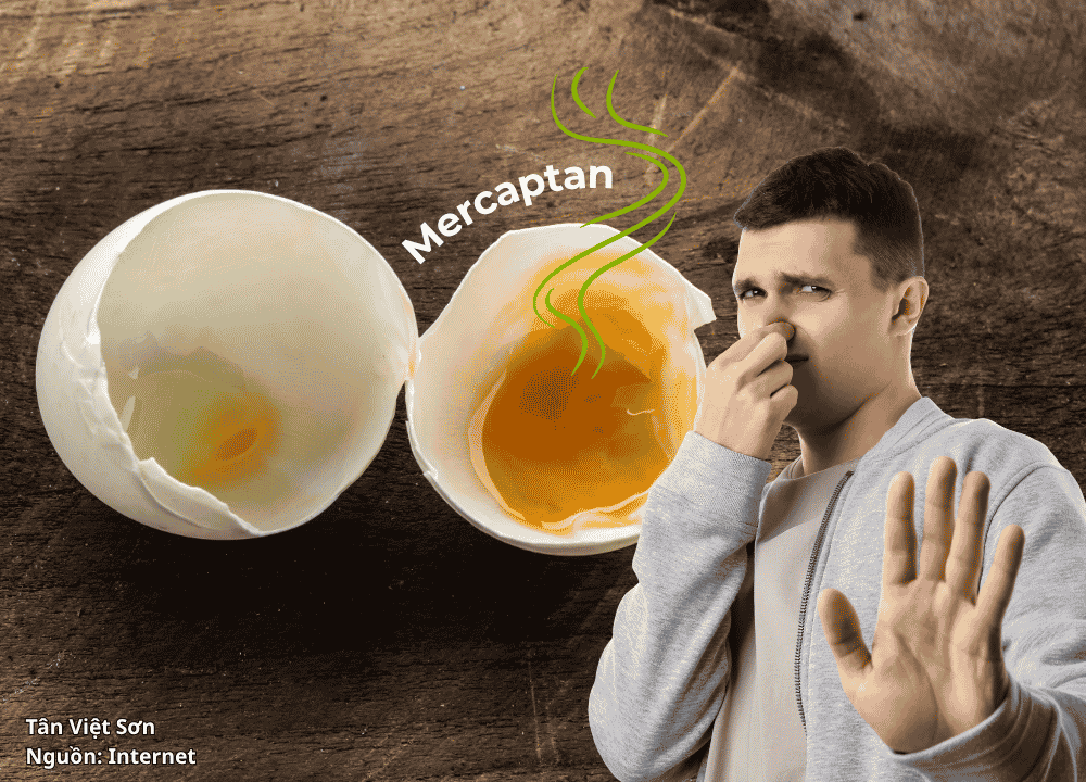 Mercaptan Là Gì Vì Sao Khí Gas Có Mùi Trứng Thối Đặc Trưng